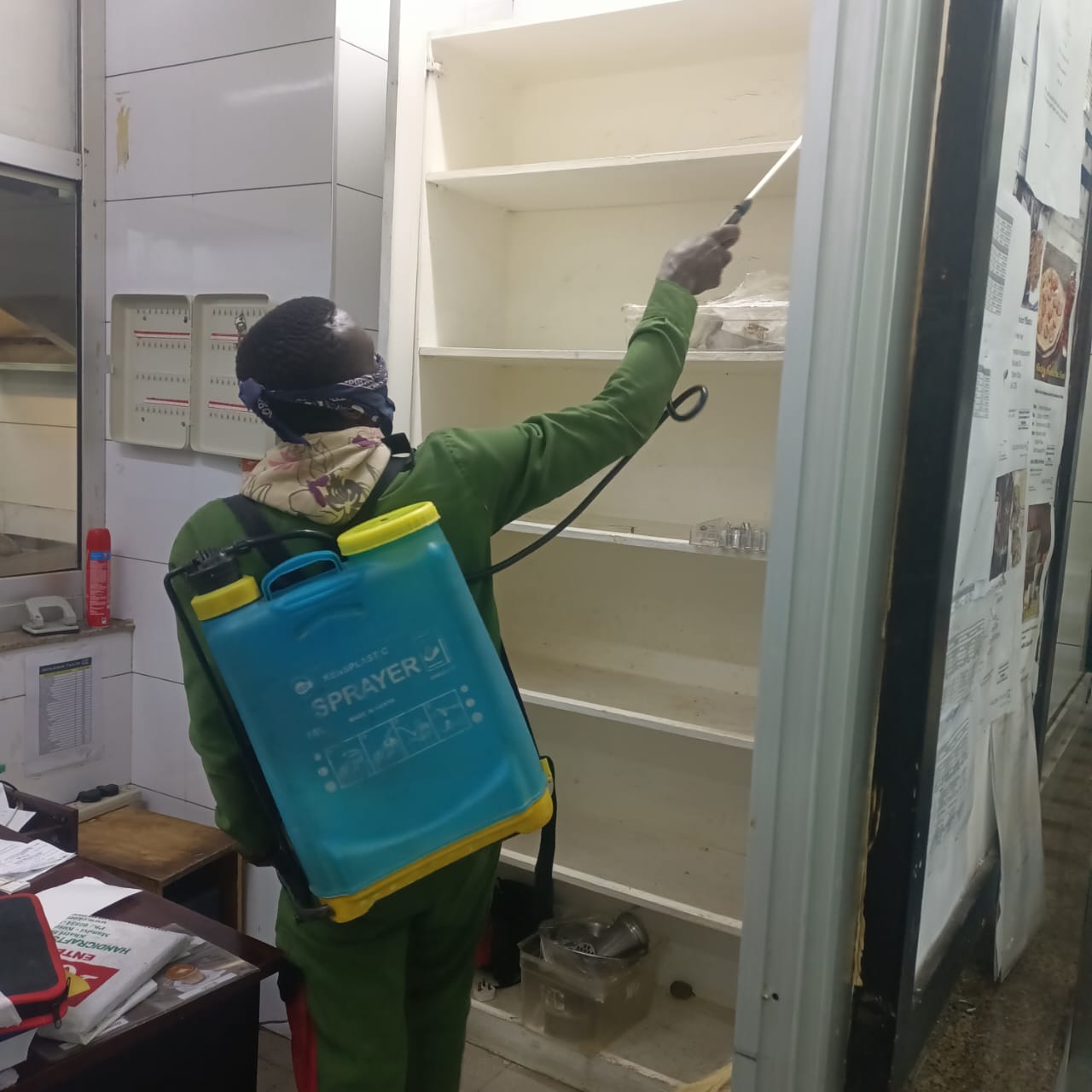 Cockroach control expert