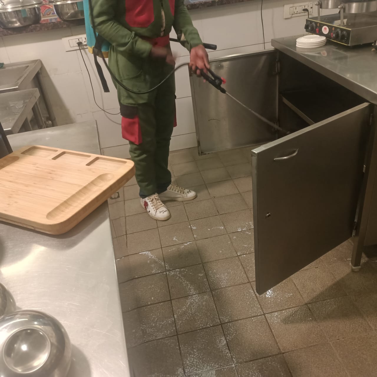 Professional cockroach fumigation