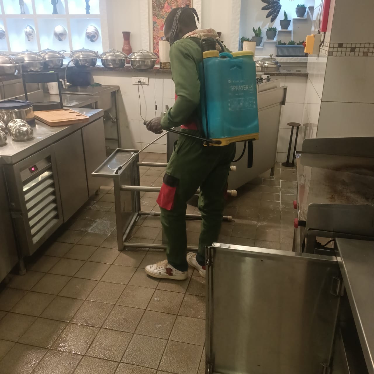 Professional kitchen fumigation service